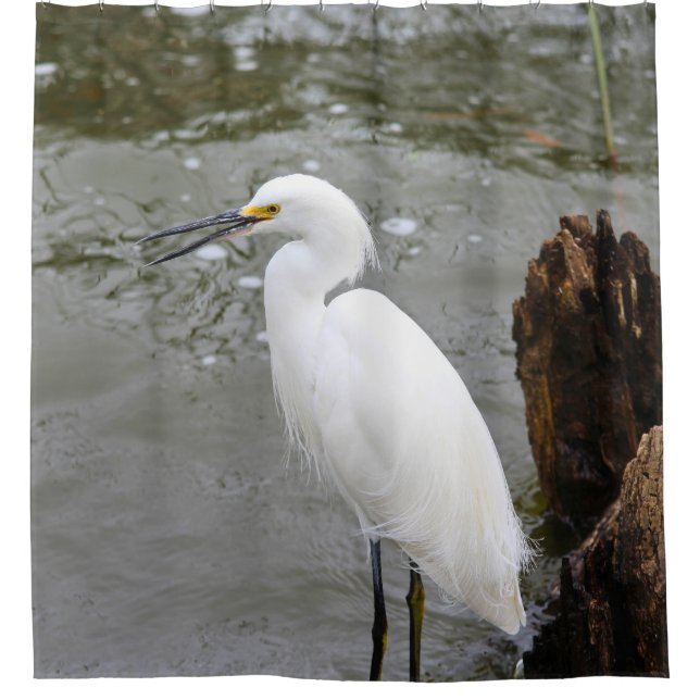 Floridas singender Seidenreiher Duschvorhang (Vorderseite)