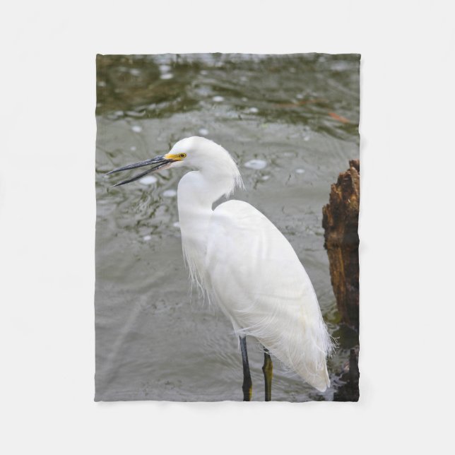 Floridas singender Silberreiher Fleecedecke (Vorderseite)
