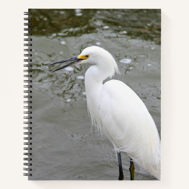 Floridas singender Silberreiher Notizbuch (Vorderseite)
