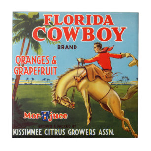 Floriday Cowboy Fliese