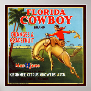 Floriday Cowboy Poster