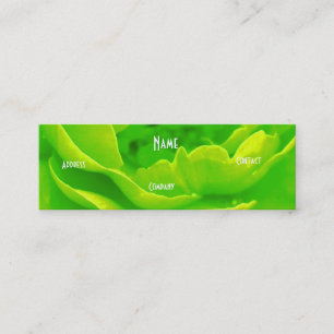 Florist - Green Pink Rose Mini Visitenkarte