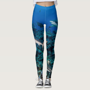 Flossen-Flosse: Riffszene mit einer Schule der Leggings