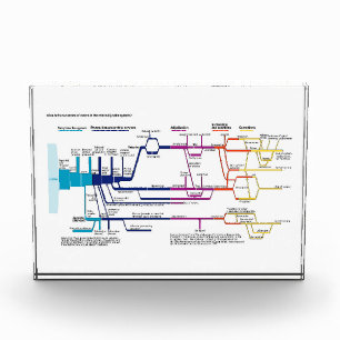 Flow Chart USA Fotoblock