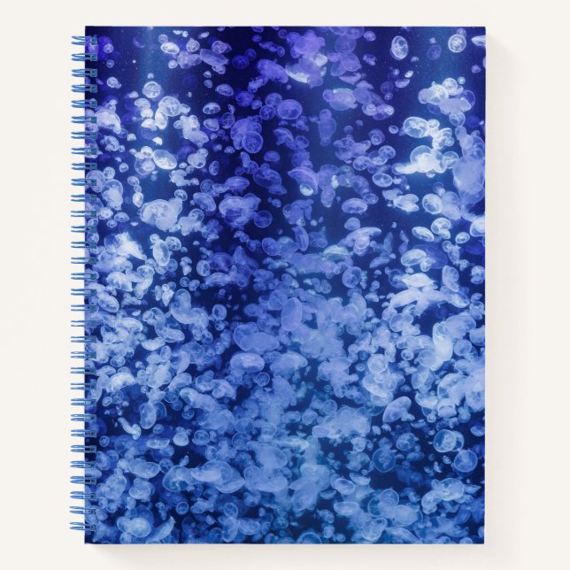 Flow – Jellyfish Notebook for Calm Thinking Notizbuch (Vorderseite)