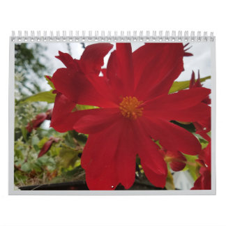 Flower Are It 2026 Calendar Kalender