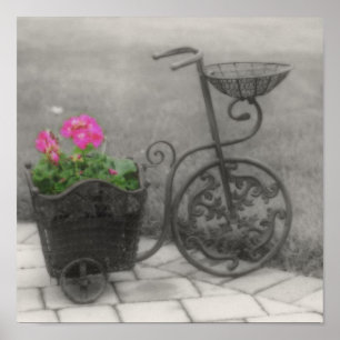 Flower Bicycle Black And White Partial Color Poster