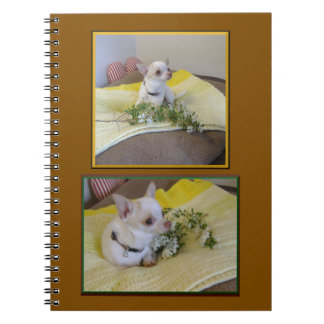 Flower Chihuahua Spiral  Notebook Notizblock