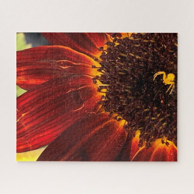 Flower Crab Spider and Red Sunflower Puzzle (Horizontal)