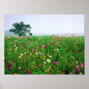 Flower Field of Kentucky Poster