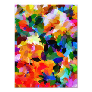 FLOWER GARDEN FOTODRUCK