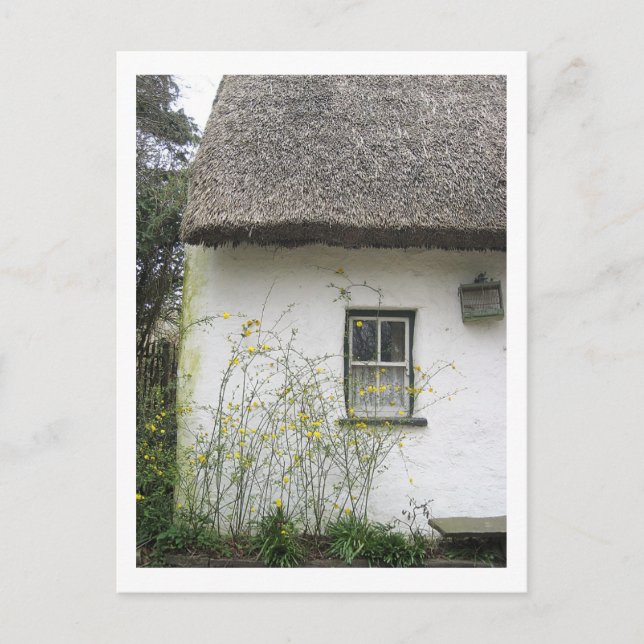 Flower House Postkarte (Vorderseite)