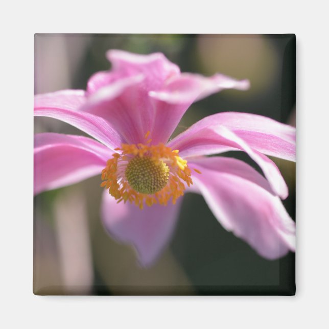 Flower Magnet (Vorne)