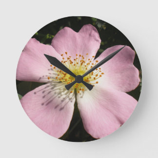 Flower of wild blossom rose runde wanduhr