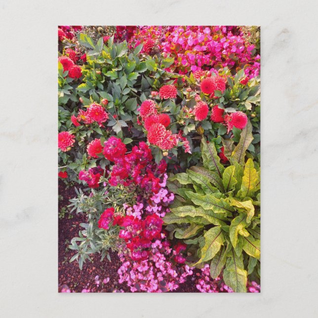 Flower Power - 14 Postkarte (Vorderseite)