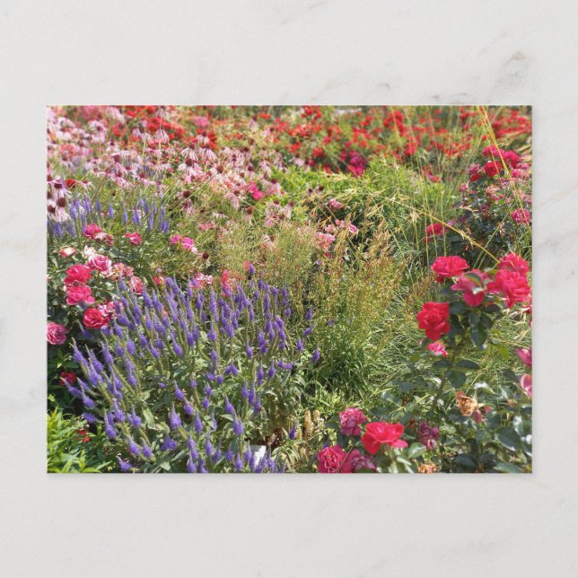 Flower Power - 3 Postkarte (Vorderseite)