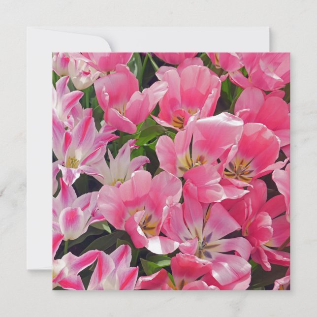 Flower Power Blumenpracht 17 Karte (Vorderseite)