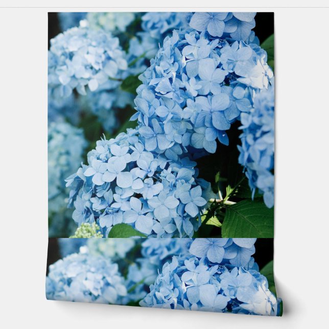 Flower Tapete (Abrollen)