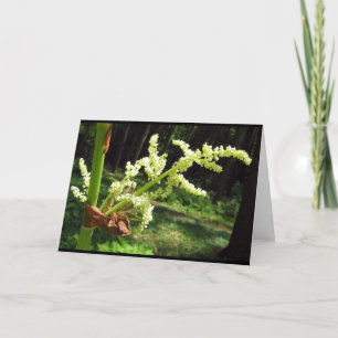 Flowering Rhubarb Stalks Blank Card Karte