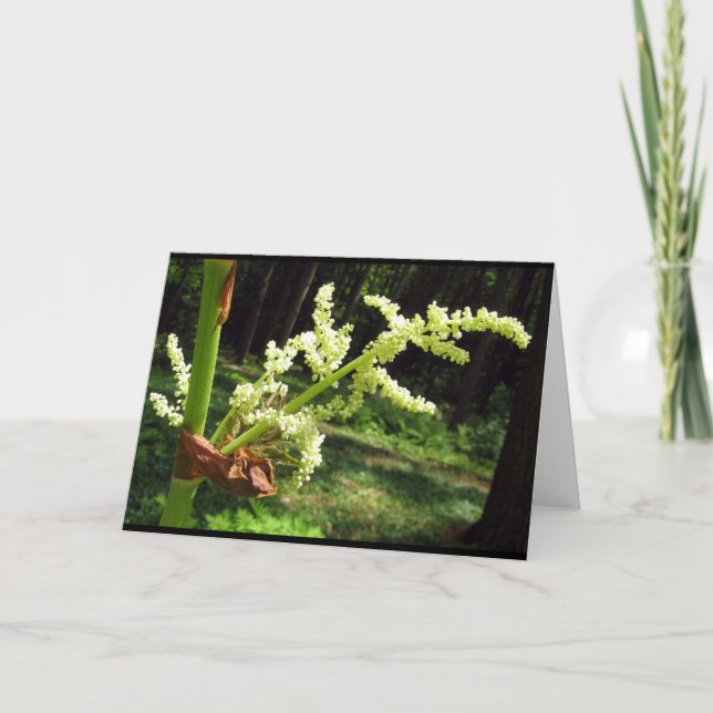 Flowering Rhubarb Stalks Blank Card Karte (Vorderseite)