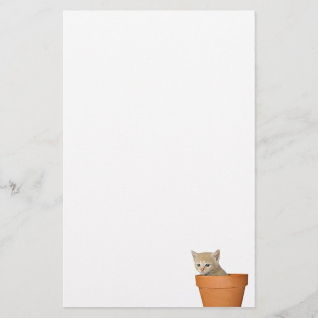 Flowerpotkätzchen Briefpapier (Vorderseite)