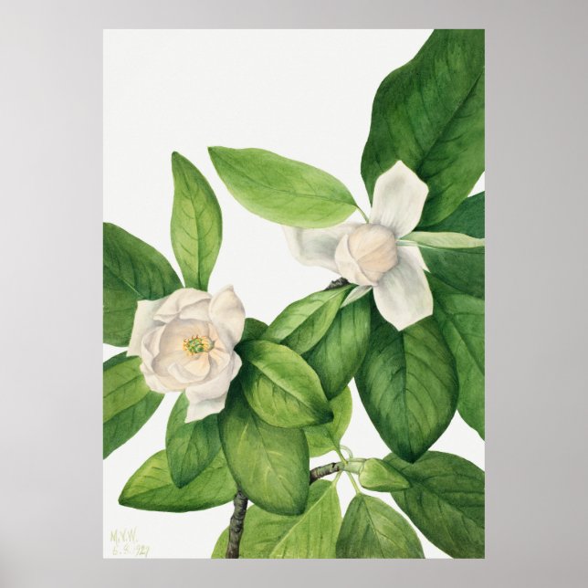 Flowers 3 poster (Vorne)