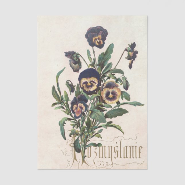 Flowers and Poems Pl. 12 by Maksymilian Fajans  Seidenpapier (Vorderseite)