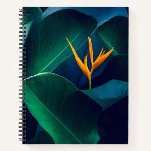 Flowers Bird of Paradise Notizbuch