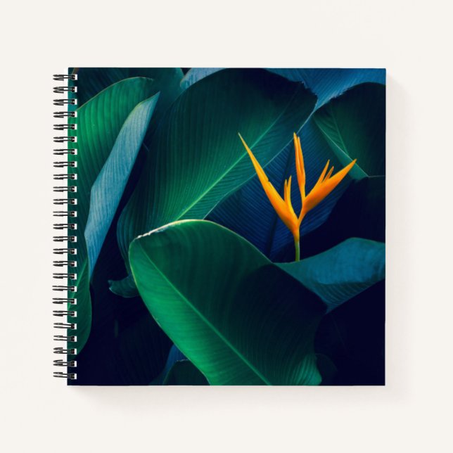 Flowers | Bird of Paradise Notizbuch (Vorderseite)