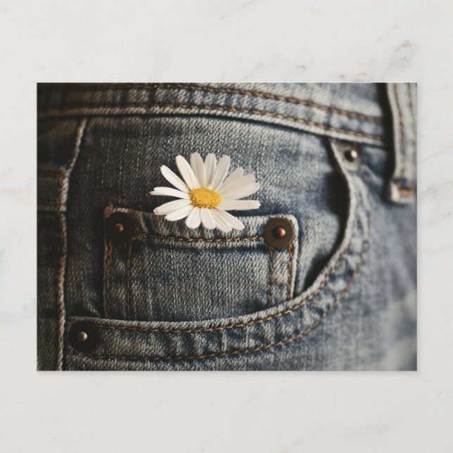 Flowers | Daisy in Jeans Pocket Postkarte (Vorderseite)