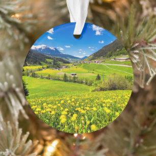 Flowers Dandelion Kanton Graubünden, Switzerland Ornament