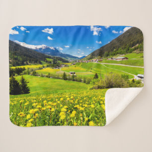 Flowers Dandelion Kanton Graubünden, Switzerland Sherpadecke