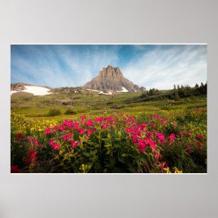 Flowers Montana's Glacier National Park Poster