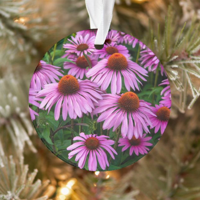 Flowers | Pink Coneflower Garden Ornament (Baum)