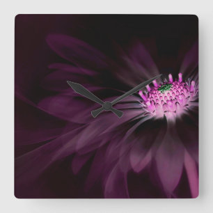 Flowers   Purple Daisy Quadratische Wanduhr
