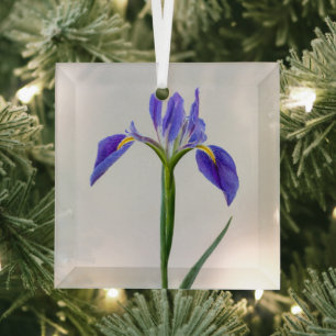 Flowers Purple Iris Flower Ornament Aus Glas