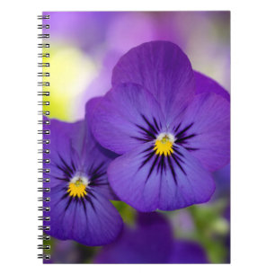 Flowers   Purple Pansies Notizblock