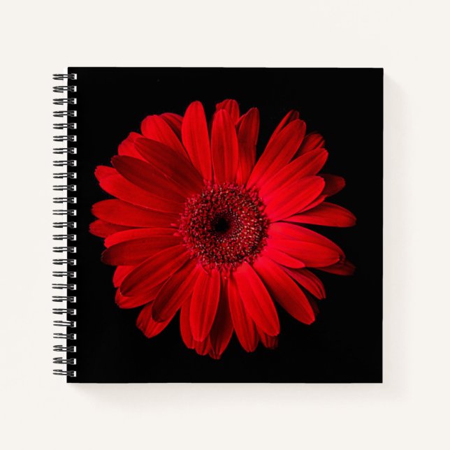 Flowers Red Gerbera | Daisy Notizbuch (Vorderseite)