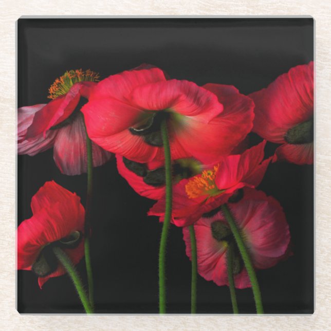 Flowers | Red Poppies Glasuntersetzer (Vorderseite)