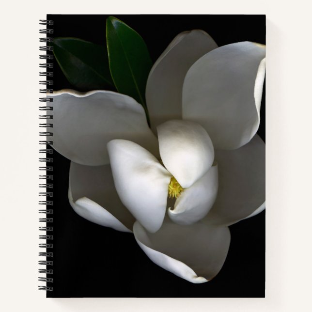 Flowers | Single White Magnolia Blossom Notizbuch (Vorderseite)