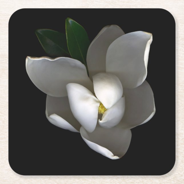 Flowers | Single White Magnolia Blossom Rechteckiger Pappuntersetzer (Vorderseite)