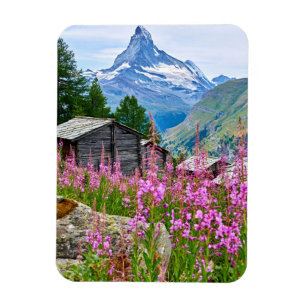 Flowers Summer Matterhorn Switzerland Magnet