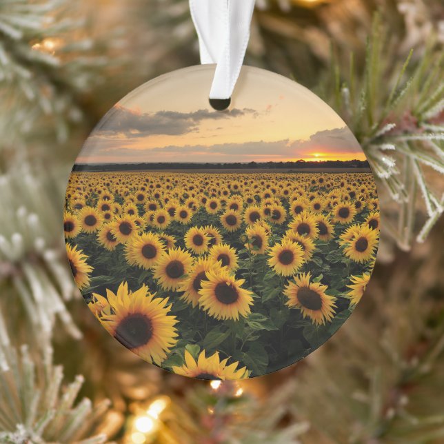 Flowers | Sunflower Field Ornament (Baum)