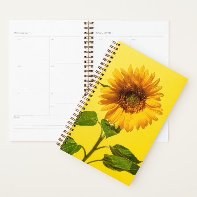 Flowers | Sunflower on Yellow Planer (Anzeige)