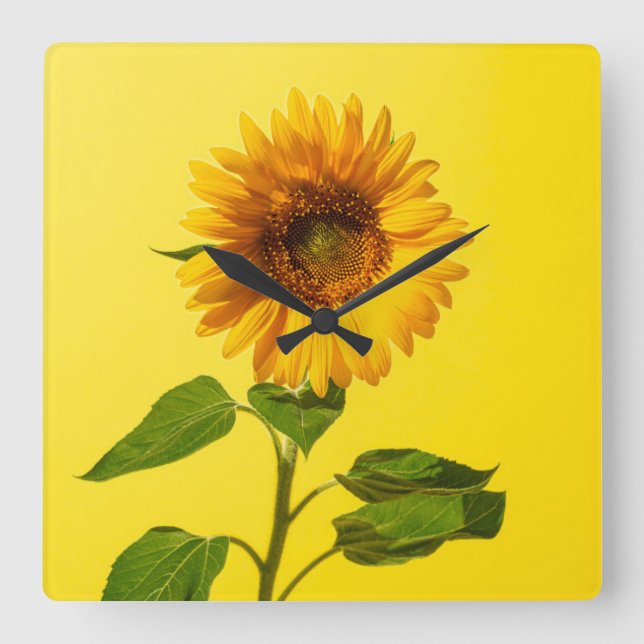 Flowers | Sunflower on Yellow Quadratische Wanduhr (Vorderseite)