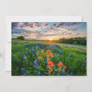 Flowers   Texas Bluebonnets & Indian Paintbrush Dankeskarte
