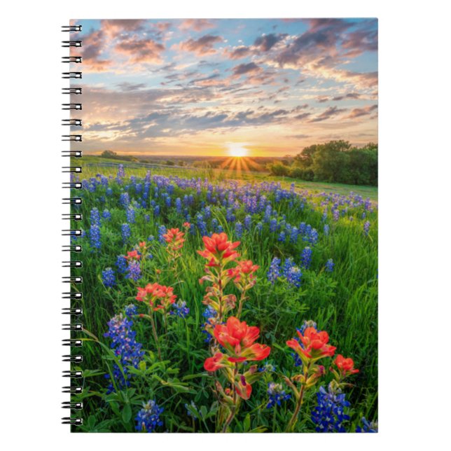 Flowers | Texas Bluebonnets & Indian Paintbrush Notizblock (Vorderseite)