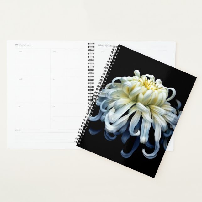 Flowers | White Chrysanthemum Planer (Anzeige)
