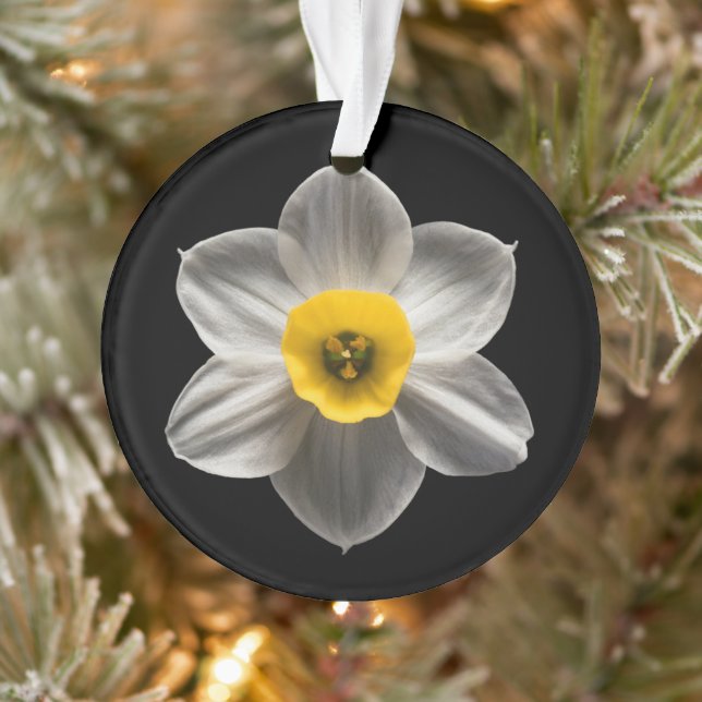 Flowers | White Daffodil Flower Ornament (Baum)
