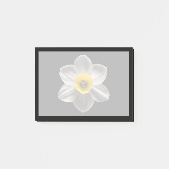 Flowers | White Daffodil Flower Post-it Klebezettel (Vorderseite)